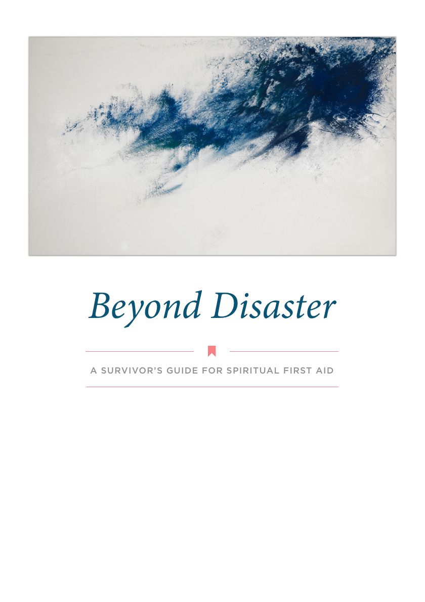 Beyond Disaster Program Guide